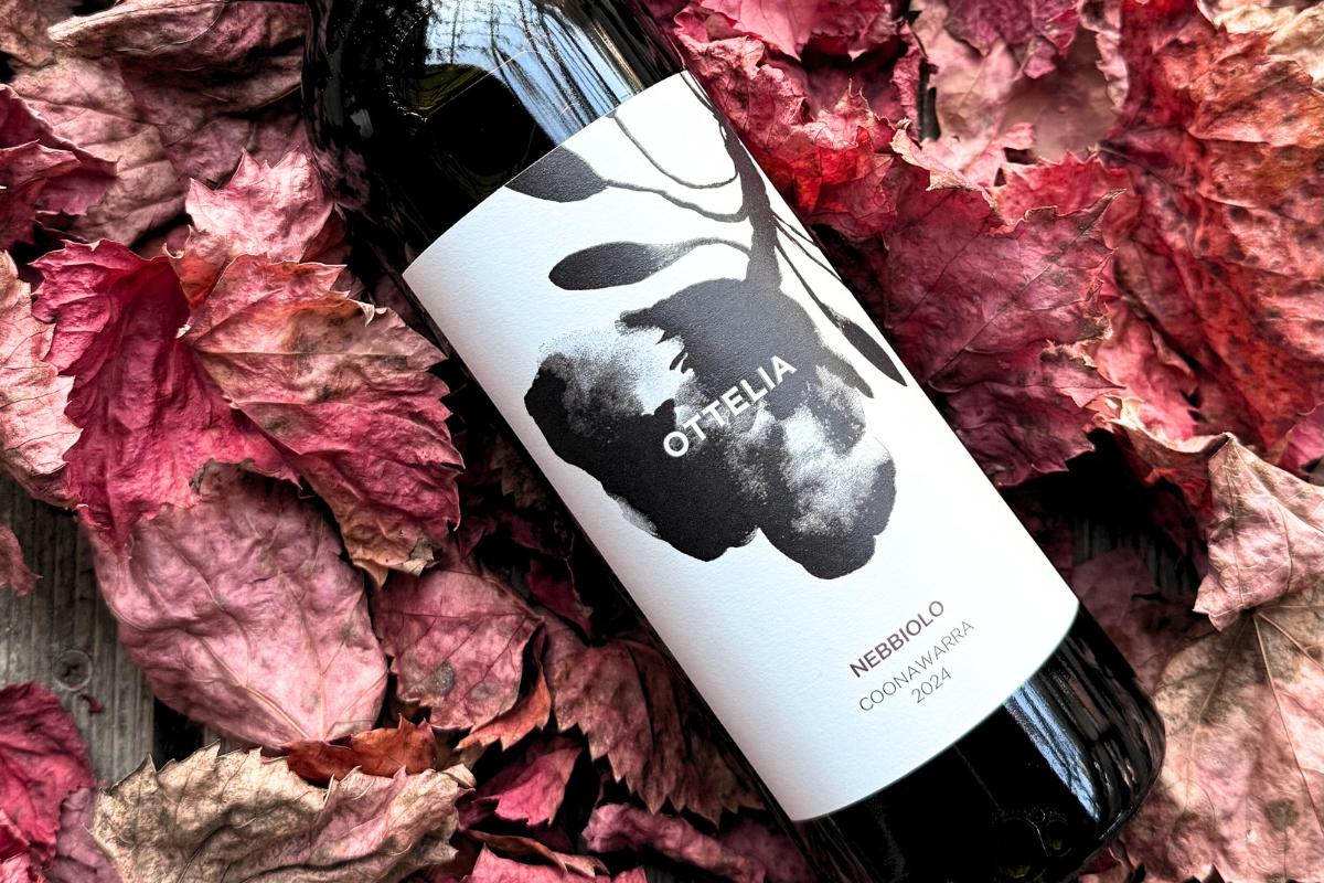 Ciao Nebbiolo