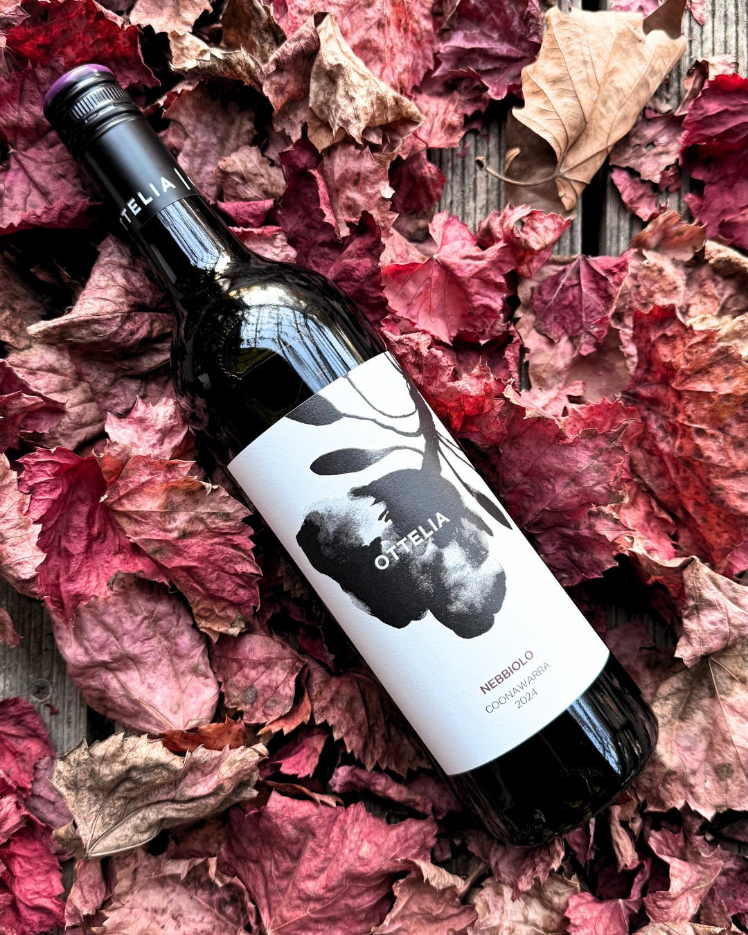 WineHubProductImage-37