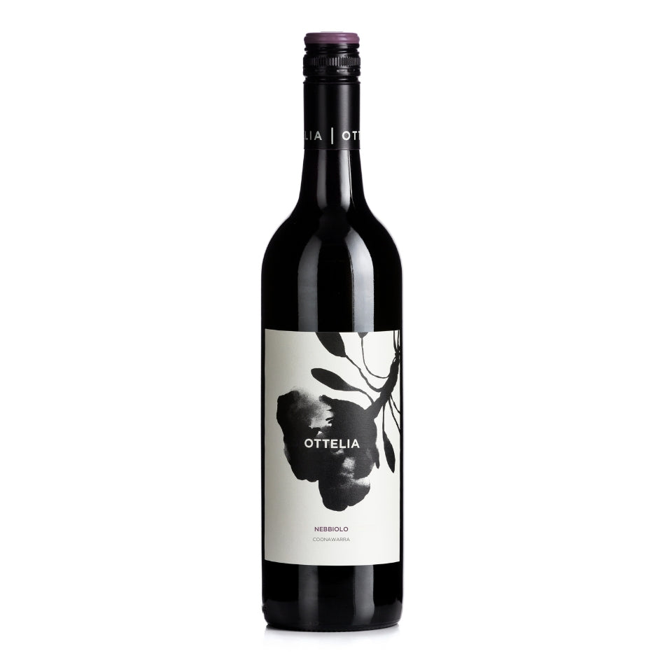 2024 Nebbiolo